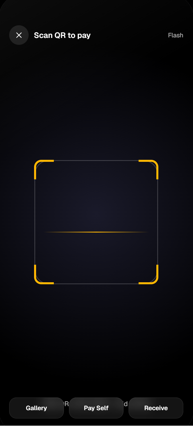 UTE Scan & Pay screen